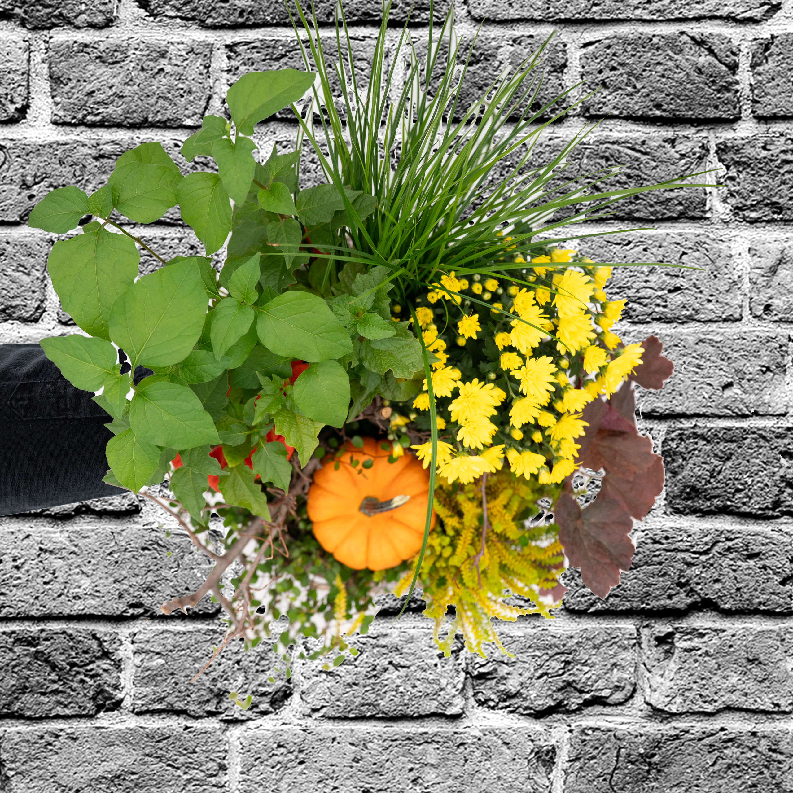 Pflanzmich 4 Pflanzmich – Bild 4 - Blumenstrauß von Blumen Mankopf in Hagen