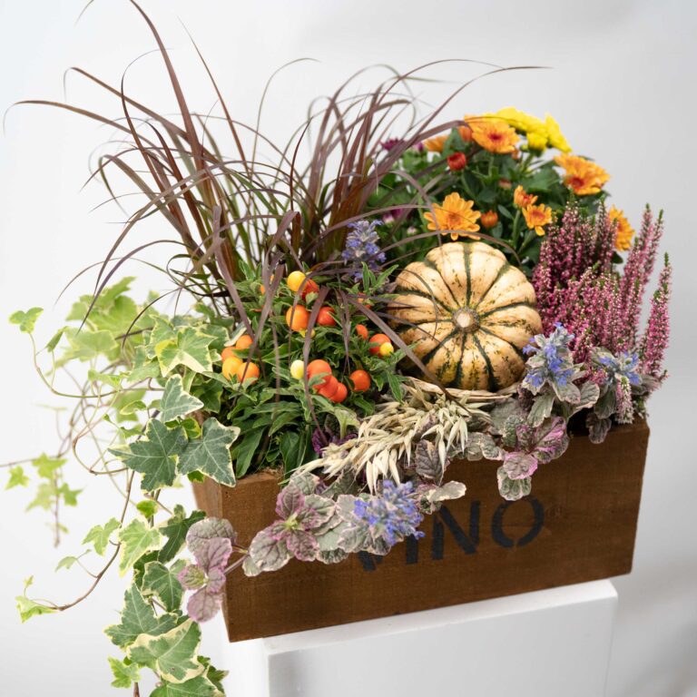 Ab in die Kiste - Blumenstrauß von Blumen Mankopf in Hagen