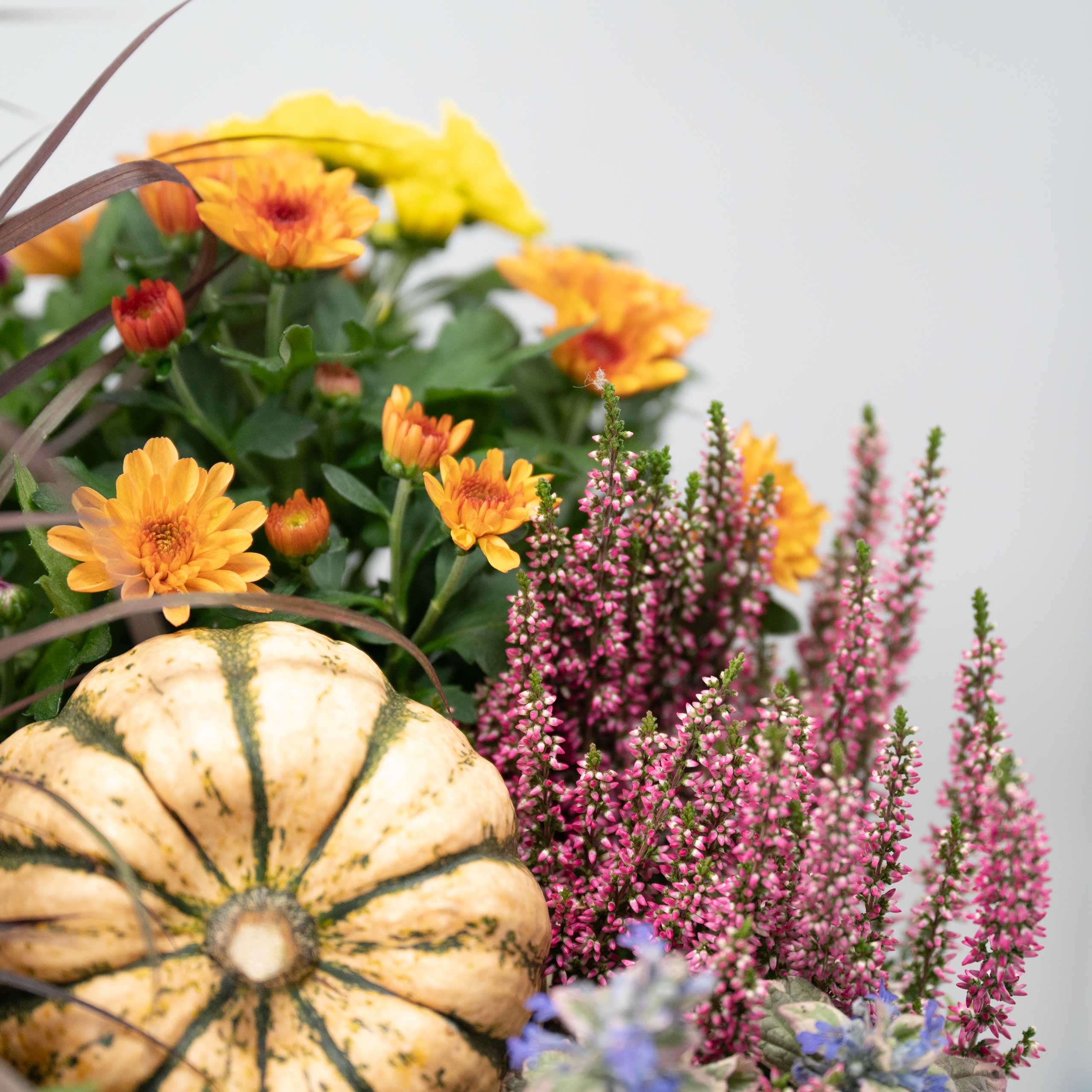 Ab in die Kiste 3 Ab in die Kiste – Bild 3 - Blumenstrauß von Blumen Mankopf in Hagen