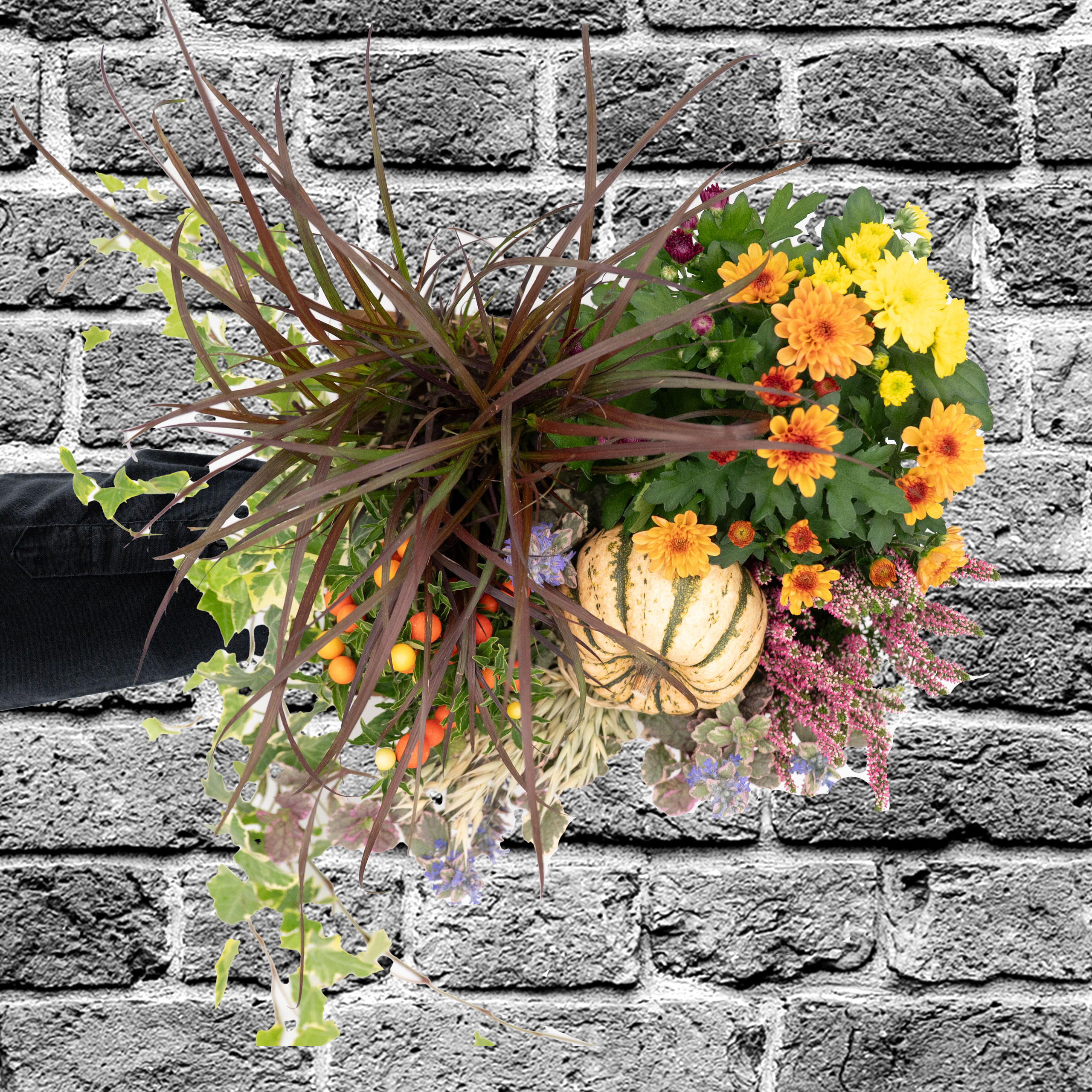 Ab in die Kiste 4 Ab in die Kiste – Bild 4 - Blumenstrauß von Blumen Mankopf in Hagen