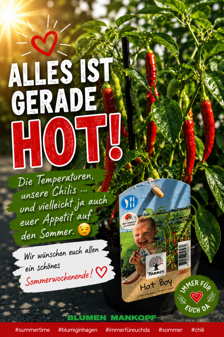 Alles ist gerade HOT!