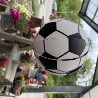 Fußball-Windspiel im Blumen-Mankopf-Gartencenter zwischen Sommerblumen.