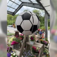 Fußball-Windspiel im Blumen-Mankopf-Gartencenter zwischen Sommerblumen.