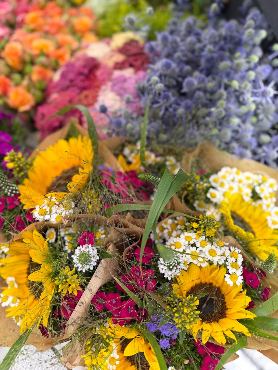 Sommer, Sonnenschein und frische Schnittblumen aus der Region 1 Farbenfroher Sommerstrauß mit Sonnenblumen bei Blumen Mankopf