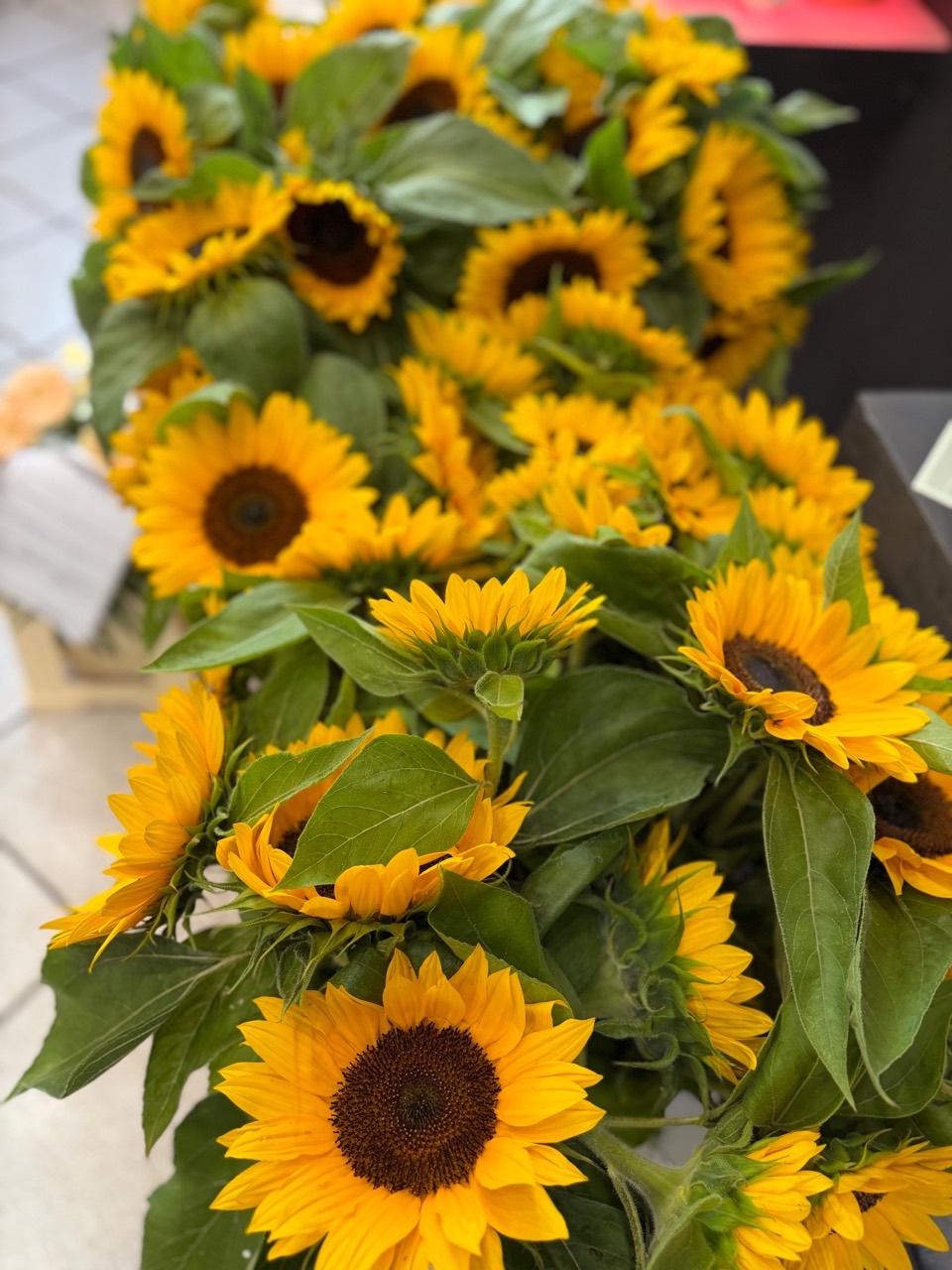 Sommer, Sonnenschein und frische Schnittblumen aus der Region 4 Leuchtend gelbe Sonnenblumen