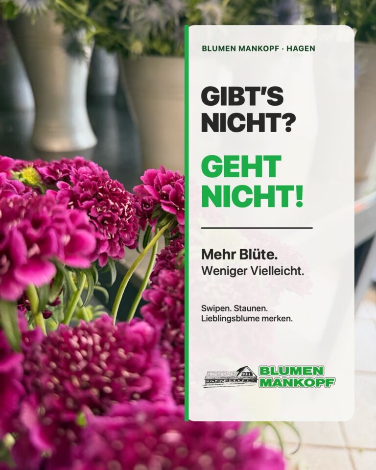 Gibt’s nicht? Geht nicht! – Schnittblumenvielfalt in Hagen