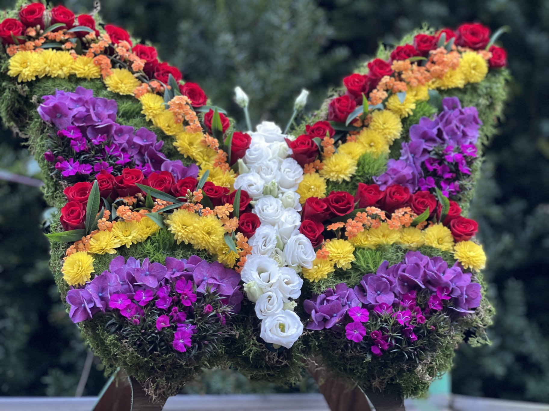 Schmetterlingsförmiges Trauerwerkstück aus roten Rosen, gelben Blüten, violetten Hortensien und weißen Blüten auf einer Moosbasis.
